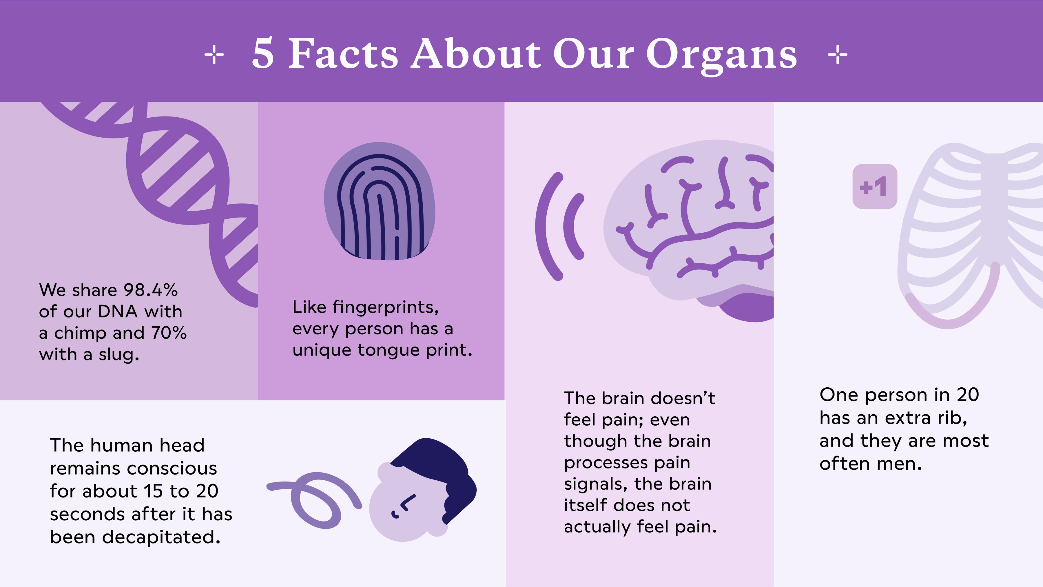 5 facts about organs