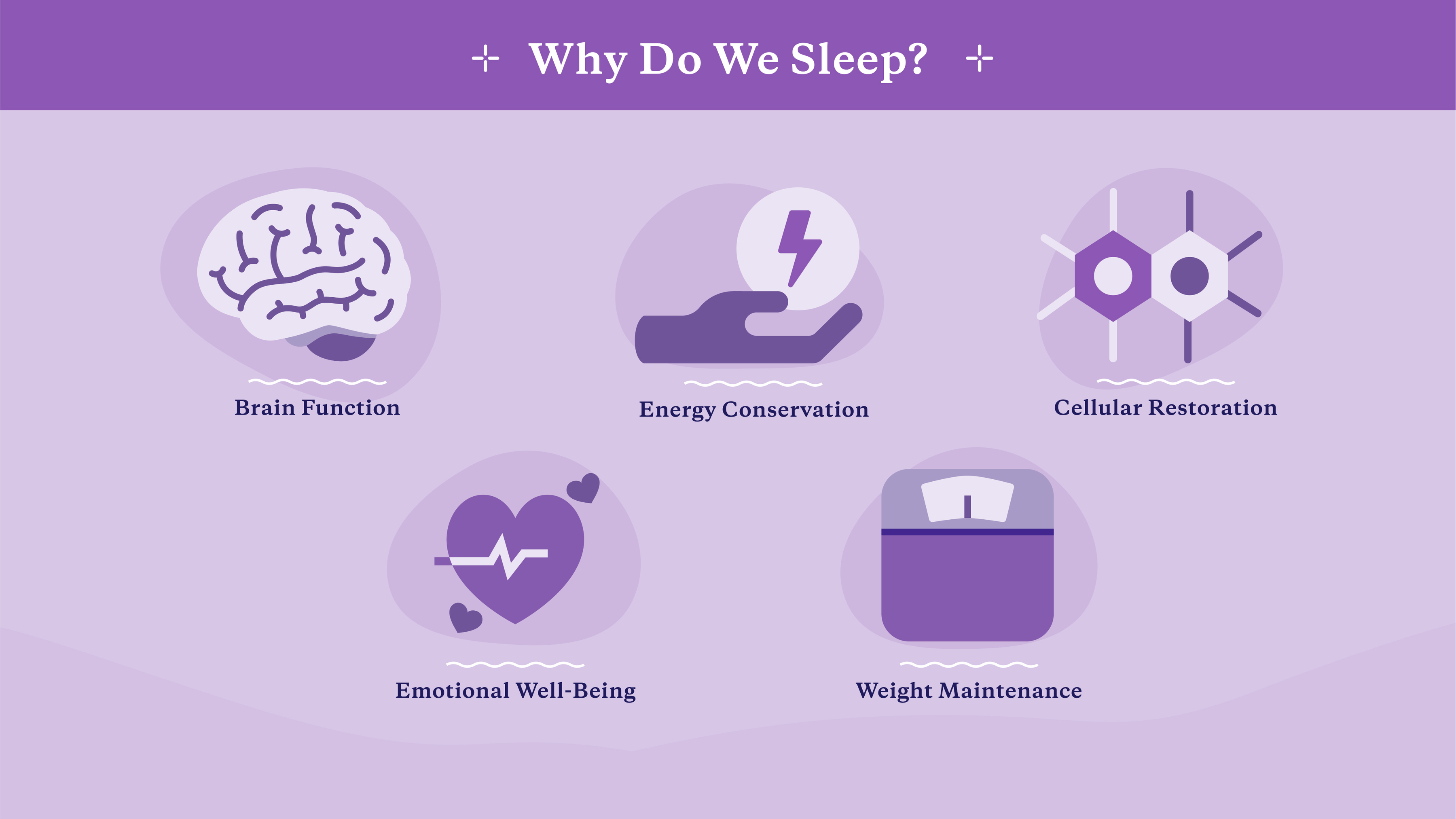 reasons we sleep