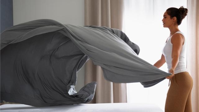 sheets w/ talent