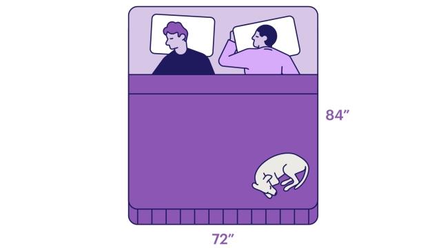 Illustration of a dog and couple sleeping in a California king size bed with measurements 72-by-84 inches.